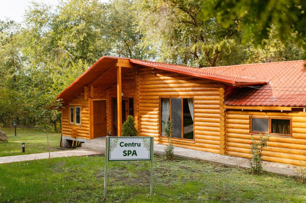 Sky Land Camping & Resort Cricova Exterior photo